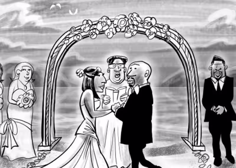 Cover image for Freelance Cartoonist Portfolio