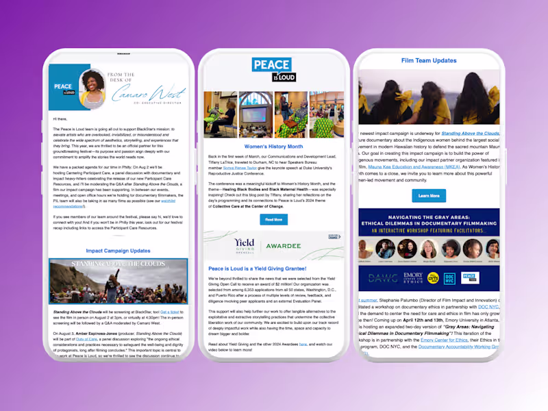 Cover image for Email Newsletter Relaunch for Social Justice Nonprofit