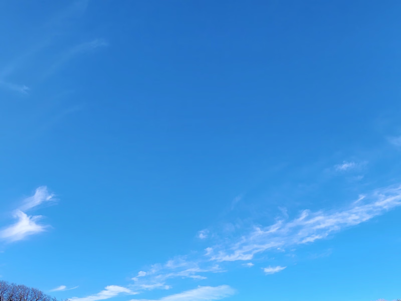 Cover image for IMDB CLONE