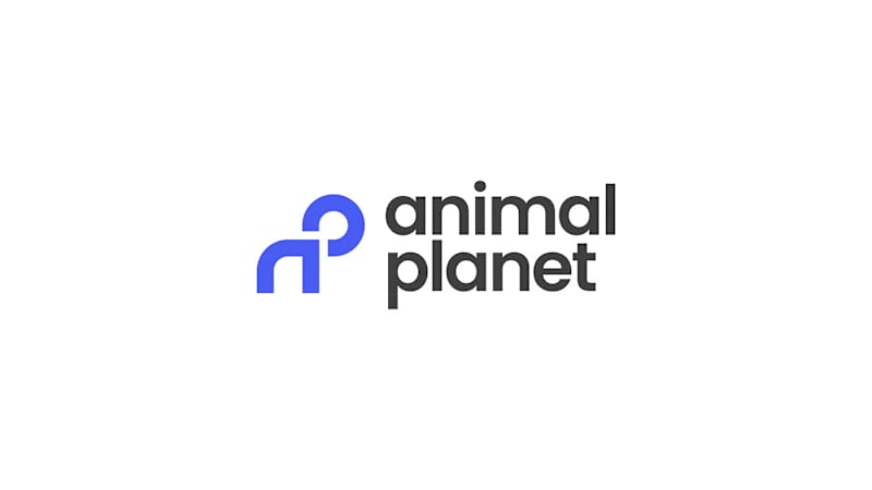 Cover image for Animal Planet Rebrand – A Fresh Look for a New Era
