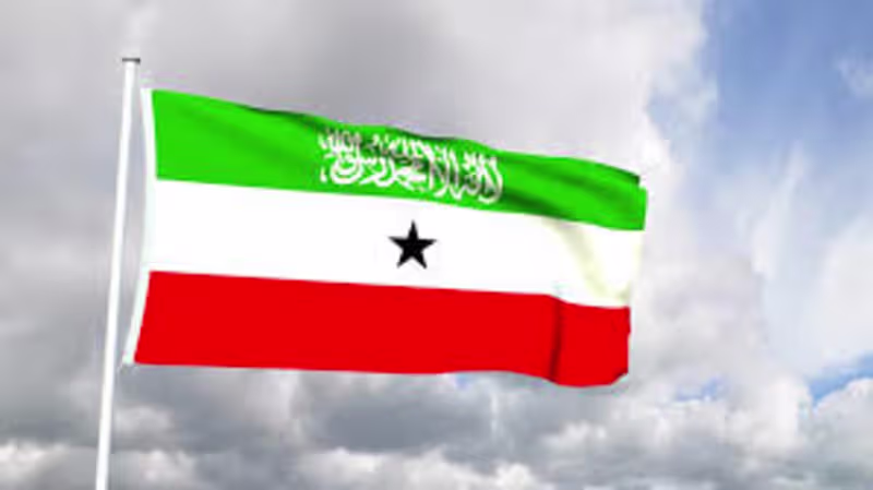 Cover image for Somaliland: Other Somalis Crave for Somaliland’s One-Man One-Vo…