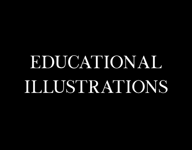 Cover image for Educational Illustrations