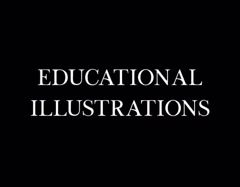 Cover image for Educational Illustrations