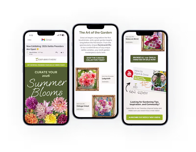 Cover image for To elevate the Eden Brothers brand when