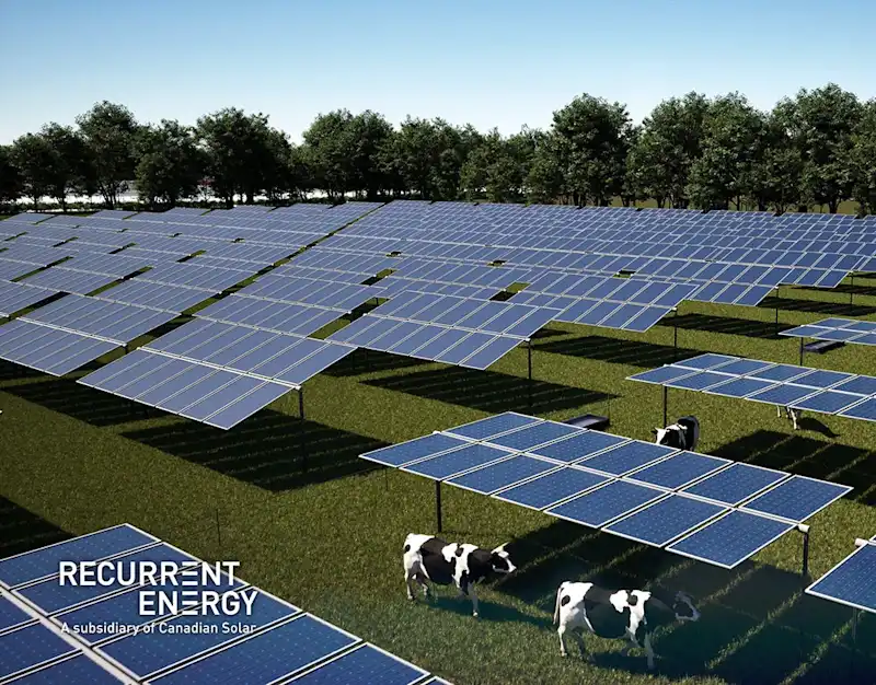 Cover image for Recurrent Energy