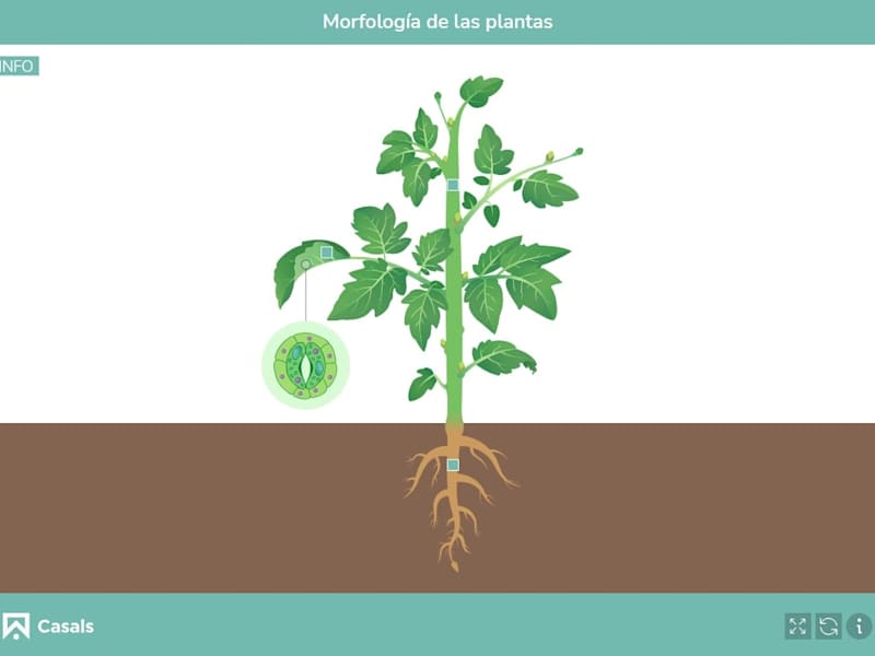 Cover image for E-learning website