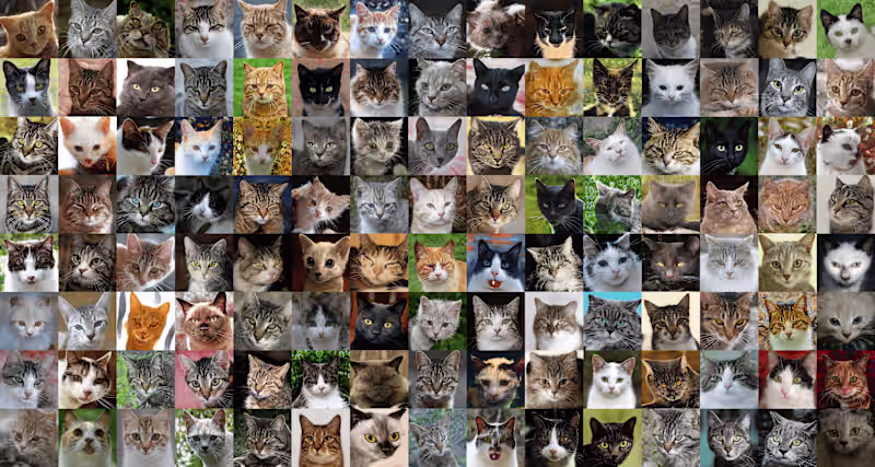 Cover image for This Kitty Does Not Exist