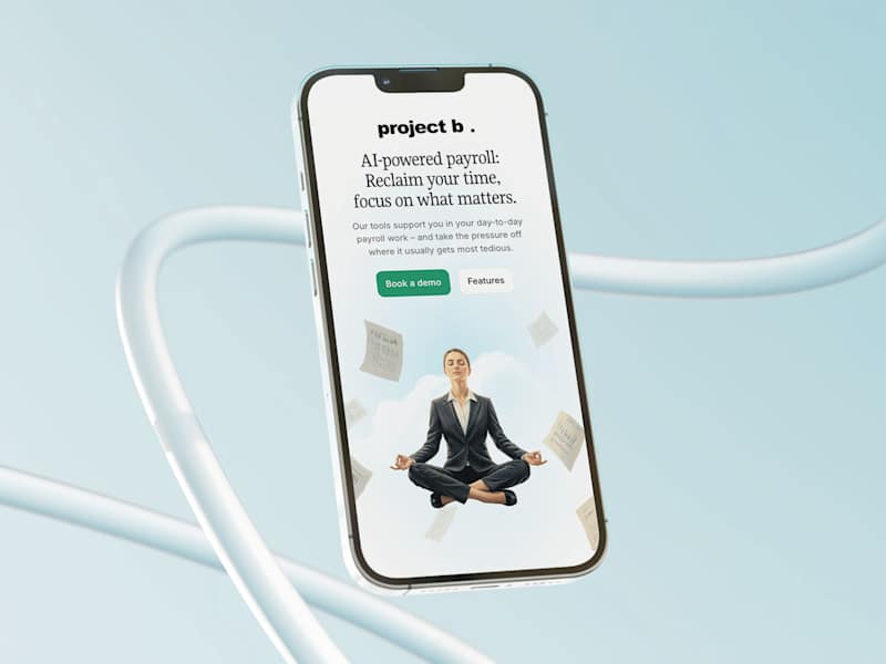 Cover image for Project B.