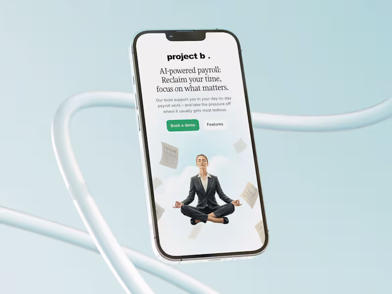 Cover image for Project B. | AI-powered payroll platform