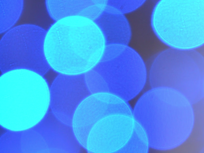 Cover image for Ghostwritten Blog Post