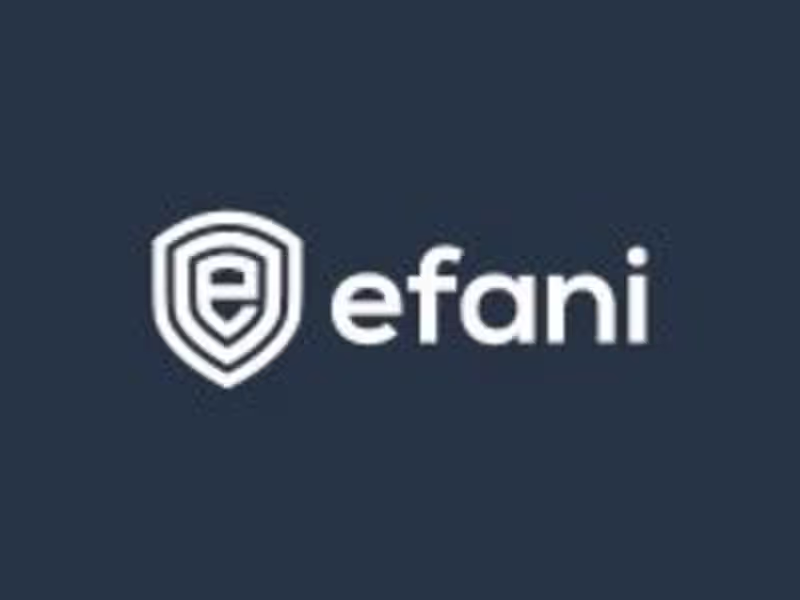 Cover image for Efani Inc.