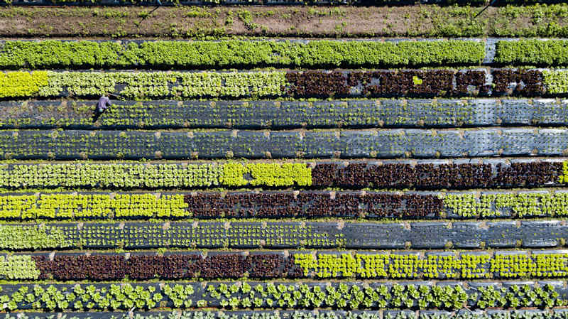 Cover image for Sustainable Living: From Ambition To Action