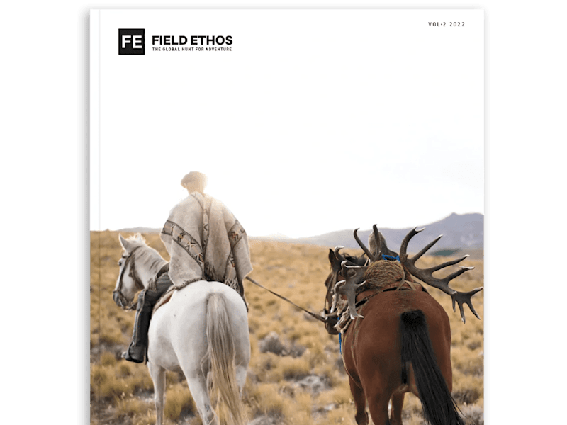 Cover image for Email Marketing Automation Implementation: Engaging An Audience