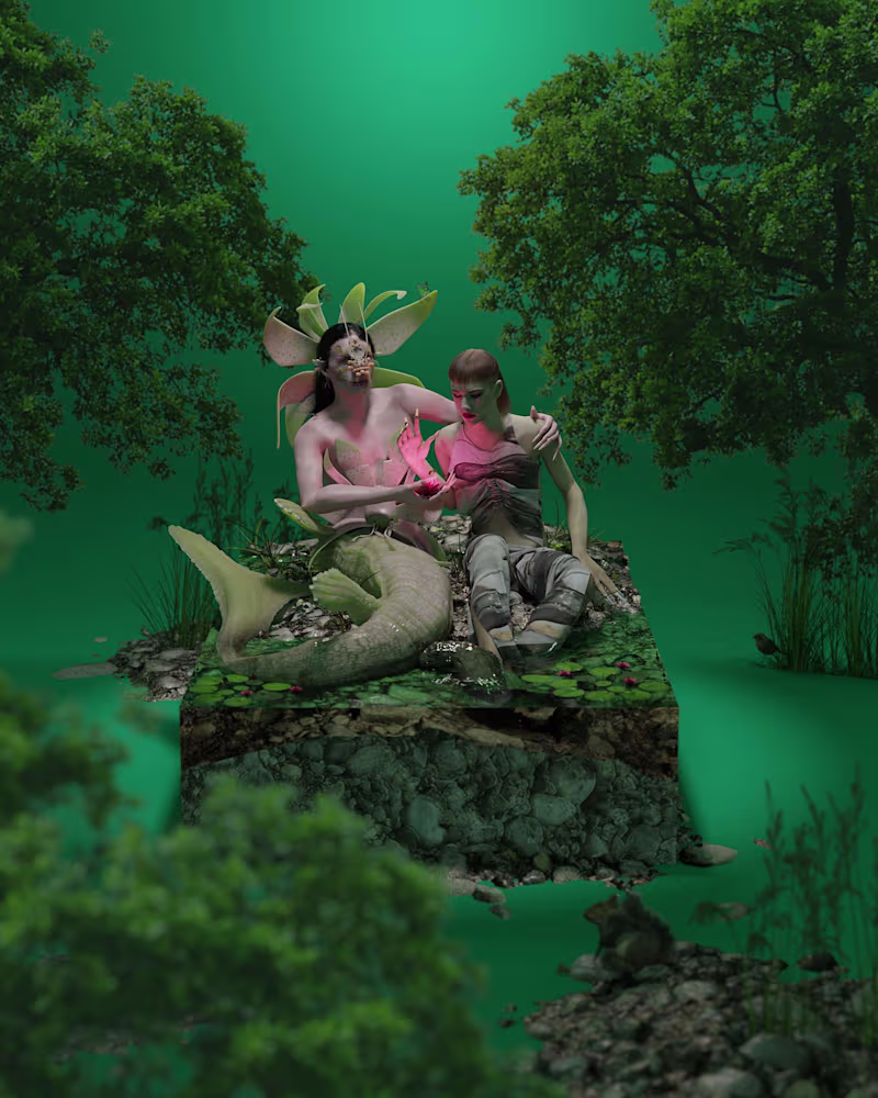 Cover image for Images