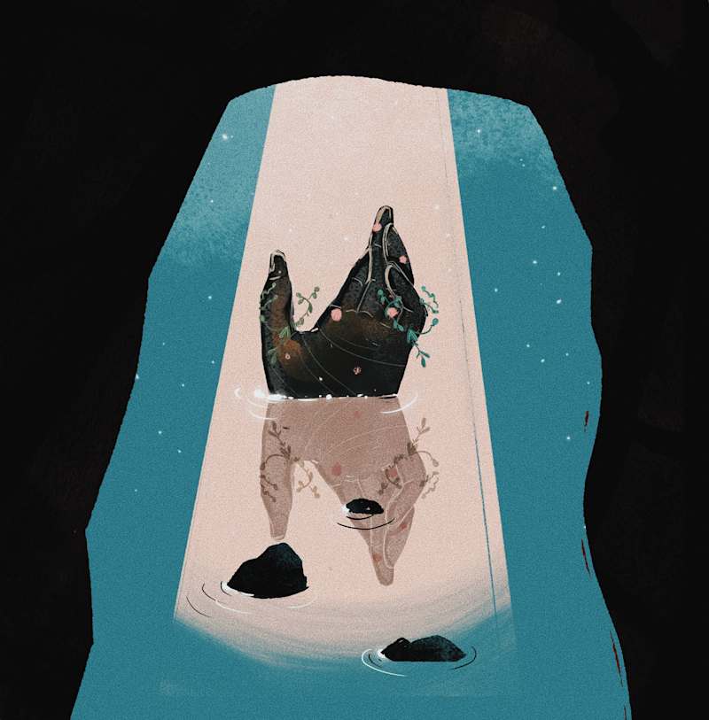 Cover image for Social Media Illustrations