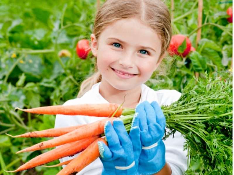 Cover image for A Vegetarian's Guide to Planning & Growing a Garden