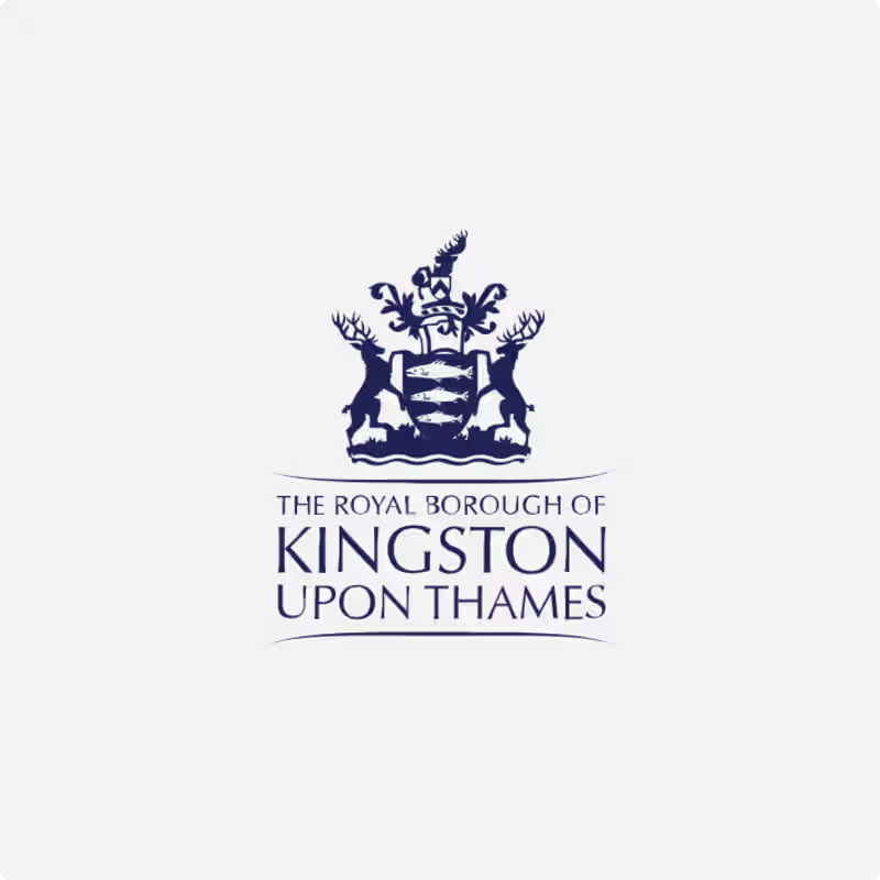Cover image for Kingston Council