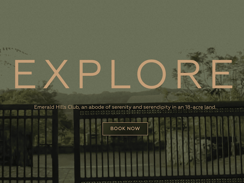 Cover image for Website content for a boutique club.
