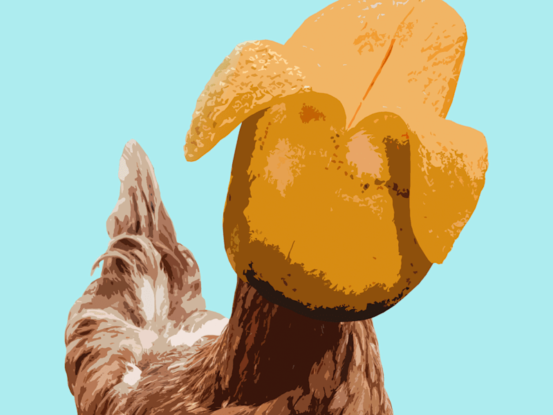 Cover image for Book Cover and Interior Illustrations - A Unique Blend of Styles