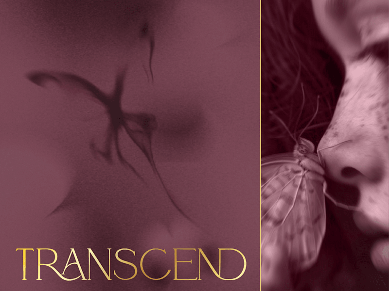 Cover image for Transcend, Scentfinity | Luxurious Scent Diffuser Packaging