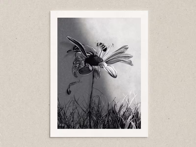 Cover image for Full Page Illustration