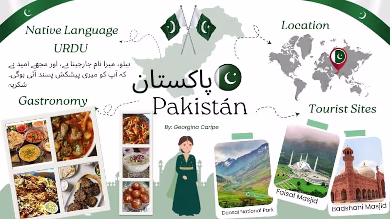 Cover image for Los volantes y folletos son