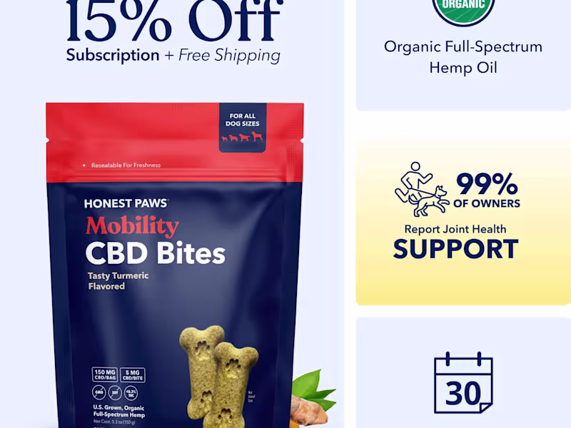 Cover image for Full Stack Shopify Development with SEO/CRO