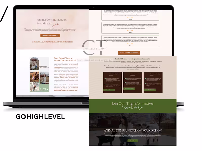 Cover image for Funnel Building + Automations | Gohighlevel & FgFunnels