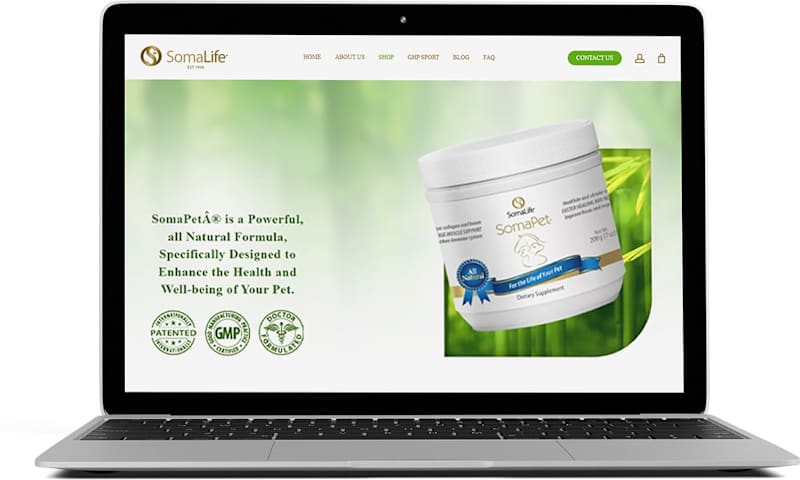 Cover image for Revolutionizing Pet Health And Wellbeing