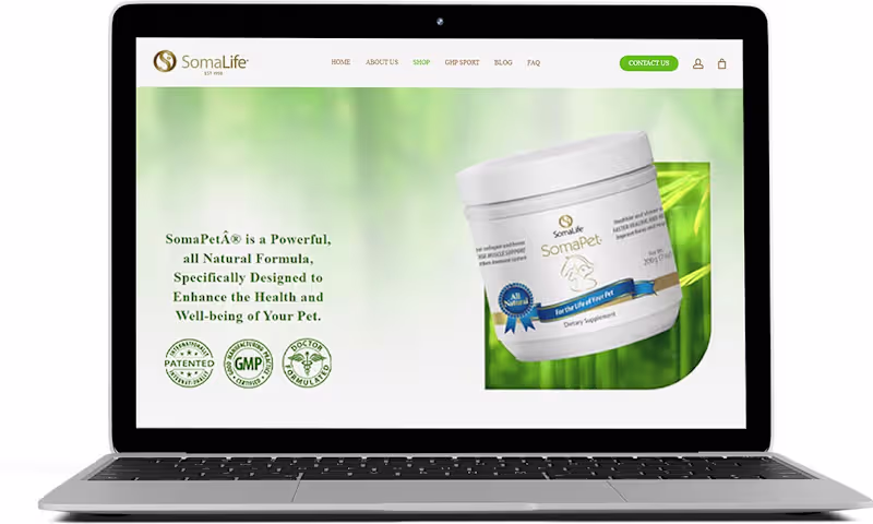 Cover image for Revolutionizing Pet Health And Wellbeing