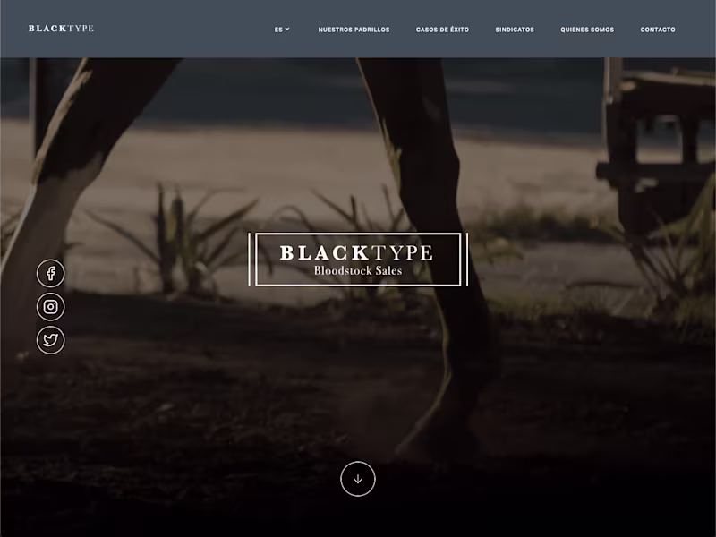 Cover image for Blacktype