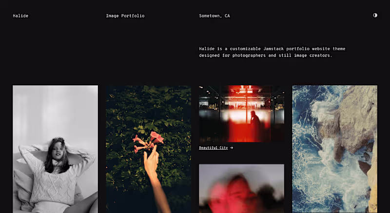 Cover image for Halide