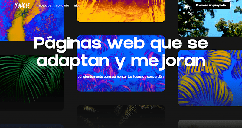 Cover image for Yungle | Website & Branding