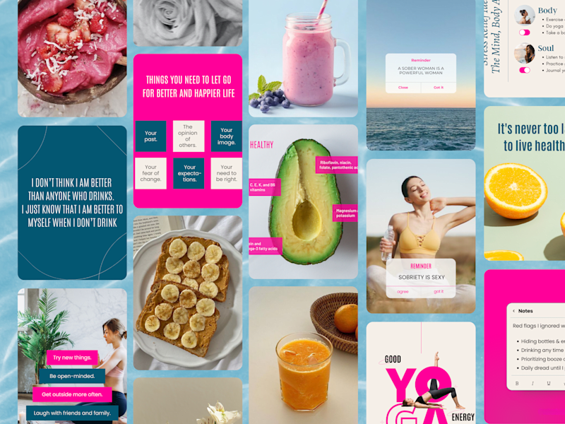 Cover image for Sober Health Club