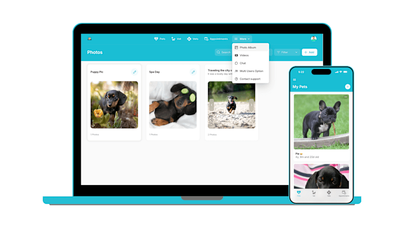 Cover image for Pet Care