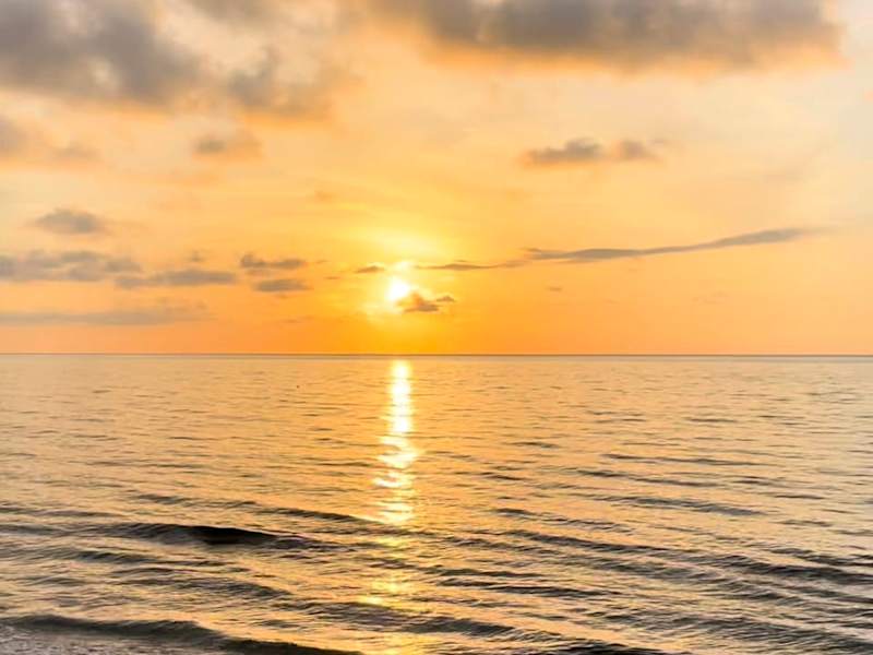 Cover image for Exploring Palm Beach • Eau Palm Beach Resort & Spa