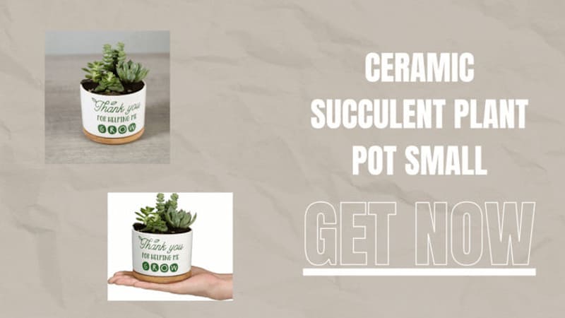 Cover image for Teachers Appreciation Gift, Ceramic Succulent Plant Pot Small F…