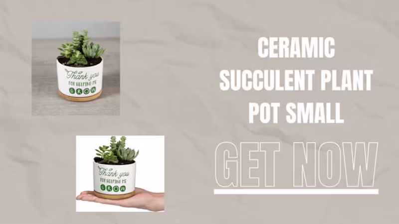 Cover image for Teachers Appreciation Gift, Ceramic Succulent Plant Pot Small F…