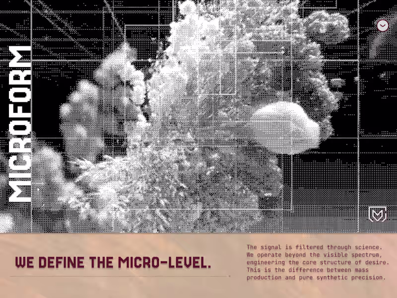 Cover image for MICROFORM | The Structure Command
