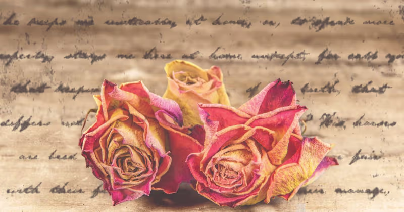Cover image for Romanticism: A Journey to the Romantic Period