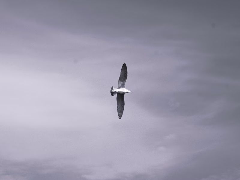 Cover image for The Core of Khouribga 