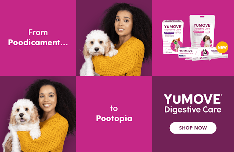 Cover image for New Product Campaign