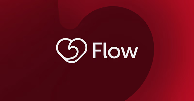 Cover image for Flow