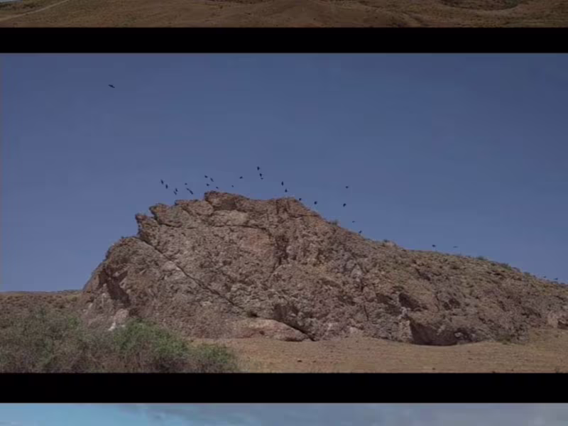 Cover image for Director's Reel 