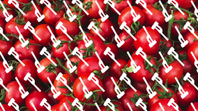 Cover image for Aladdin - Restaurant Rebranding