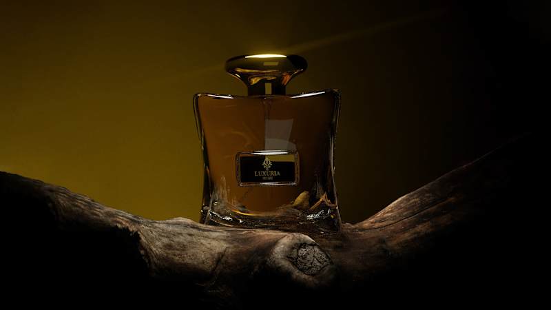 Cover image for 3D perfume Promotional video | Behance