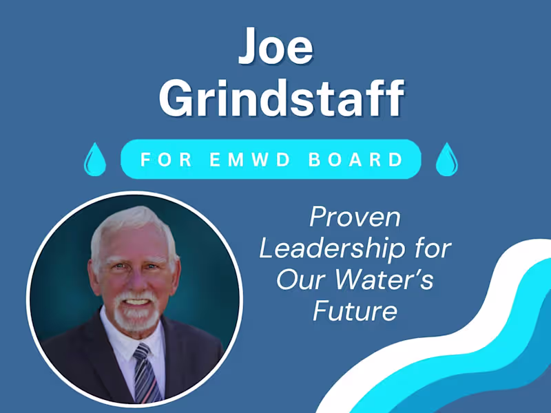 Cover image for Political Marketing Campaign & Strategy