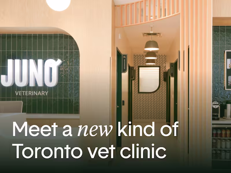 Cover image for Bio Refresh, Ad Copy,  & UVP Strategy