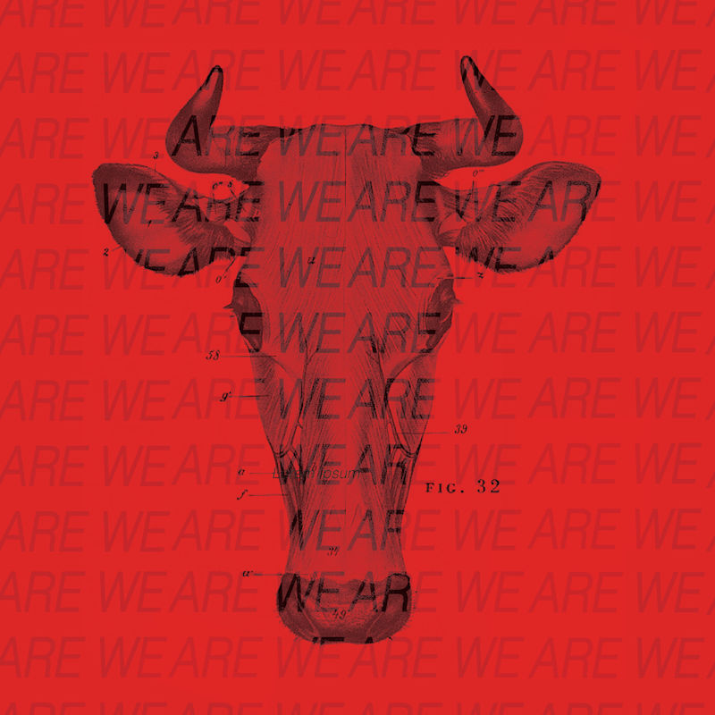 Cover image for Mock Animal Cruelty Protest Social Media Series