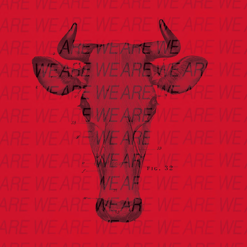 Cover image for Mock Animal Cruelty Protest Social Media Series